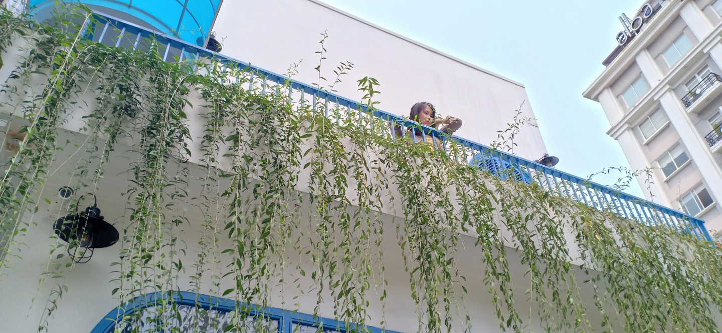 thiết kế Khách Sạn tại Thừa Thiên Huế THE TOVO HOSTEL 2 1561349044