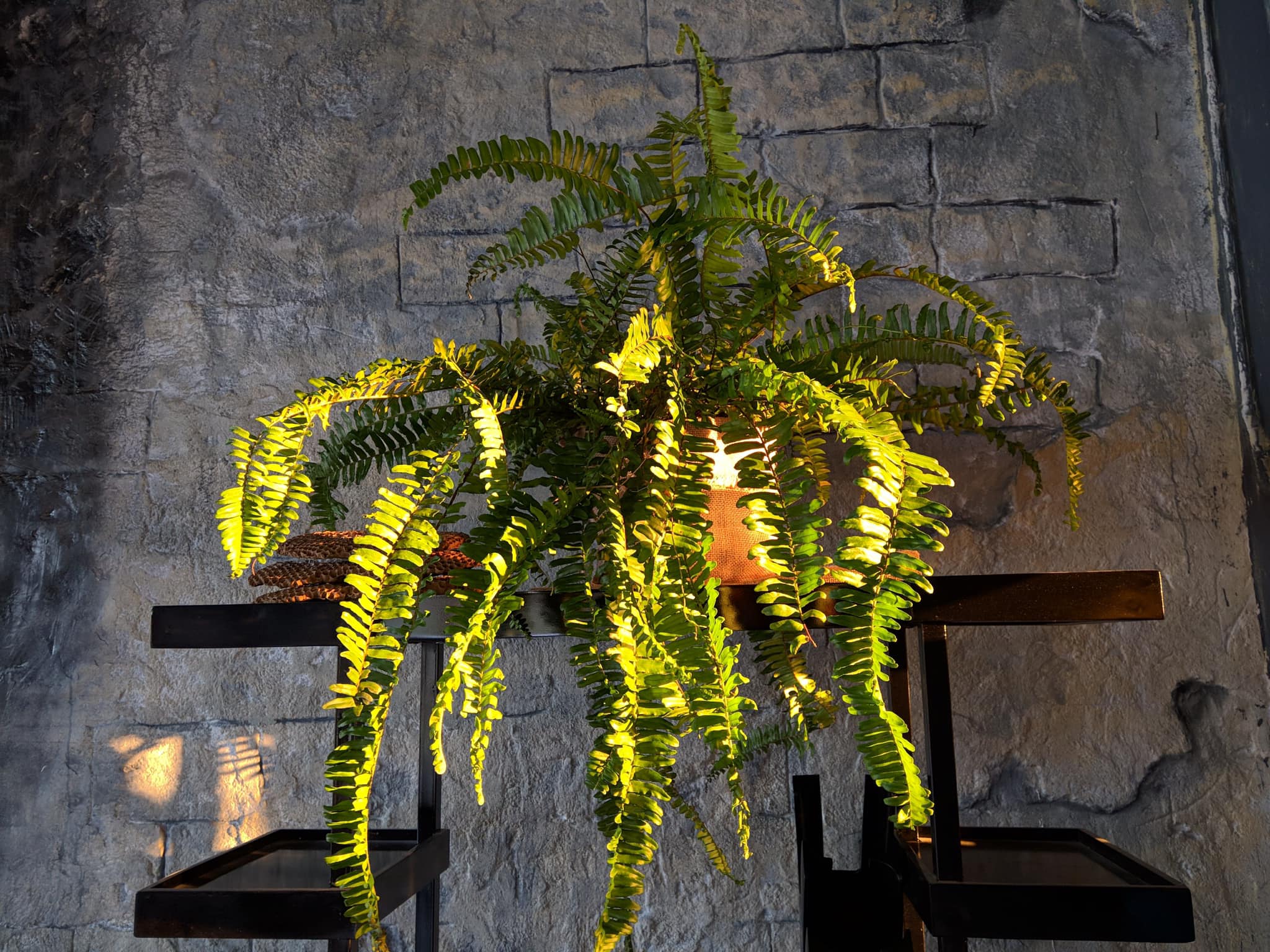 thiết kế nội thất Cafe tại Kiên Giang The sun Vintage Coffee Phú Quốc 5 1568551653