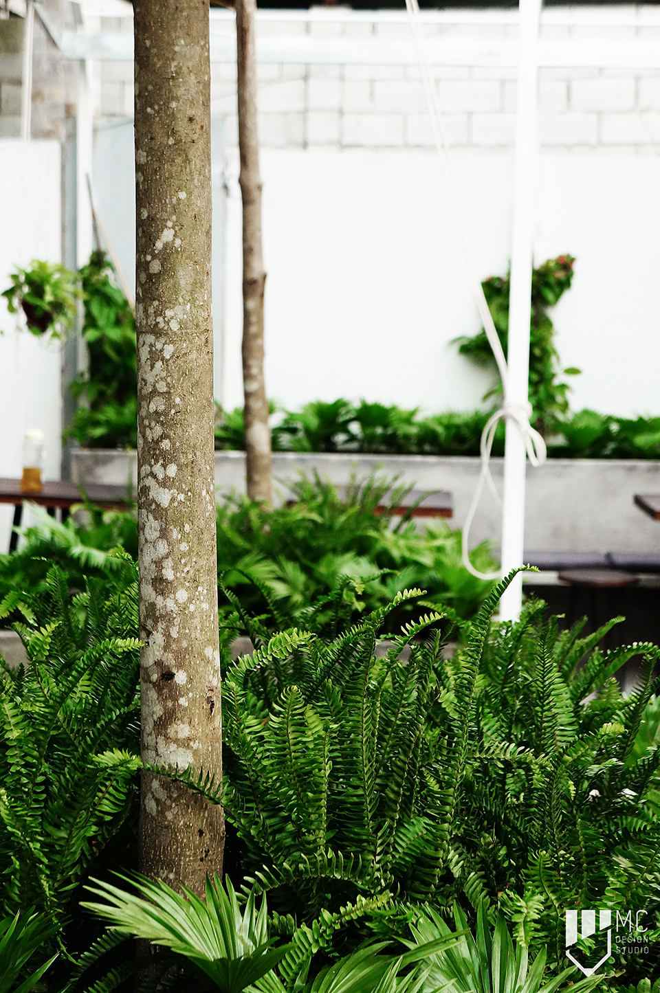 Thiết kế Cafe tại Hồ Chí Minh AN NHIEN COFFEE GARDEN 1588588115 3