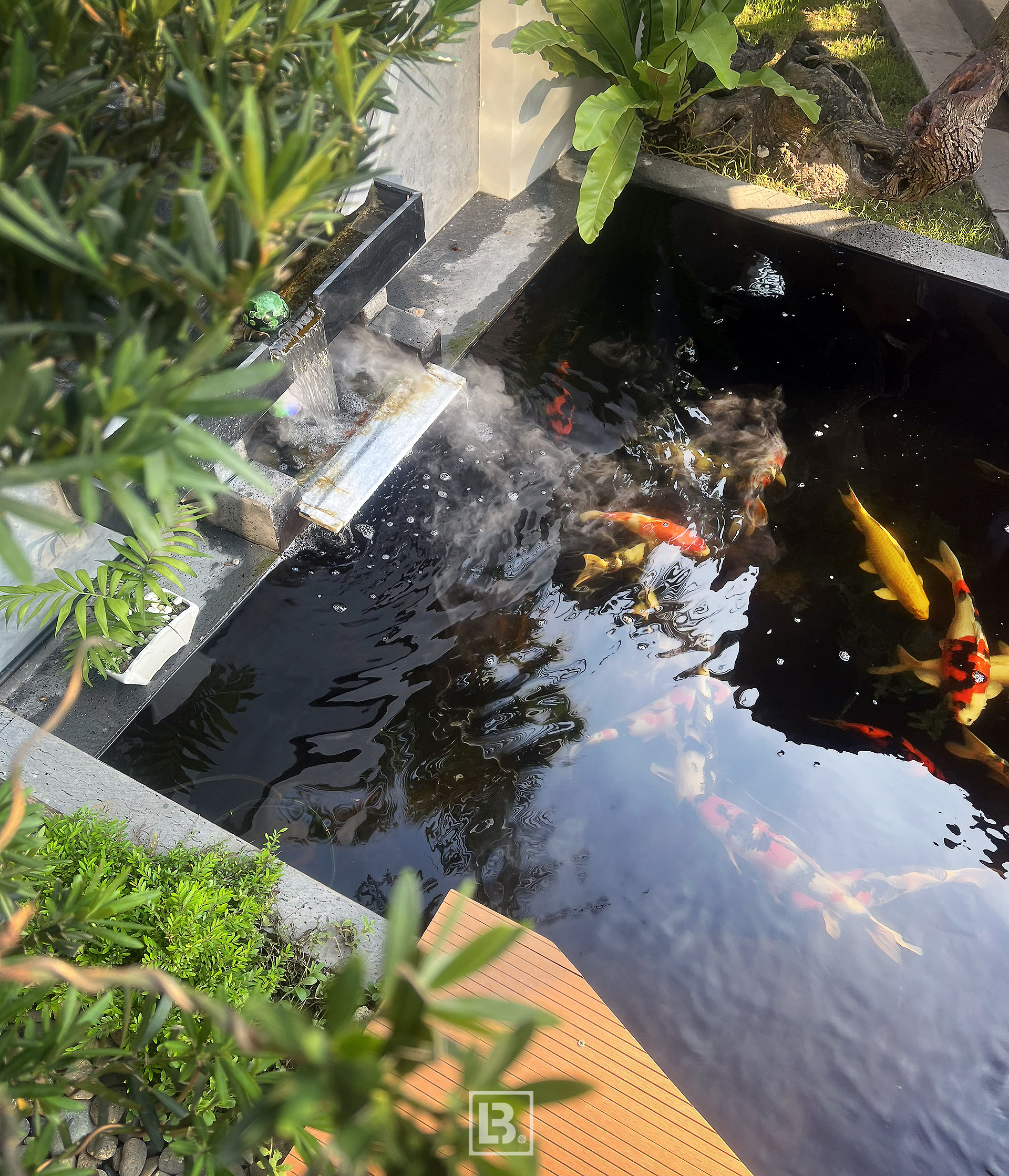 Thiết kế Biệt Thự tại Bà Rịa - Vũng Tàu TH - Villa _BRVT 1674752111 4