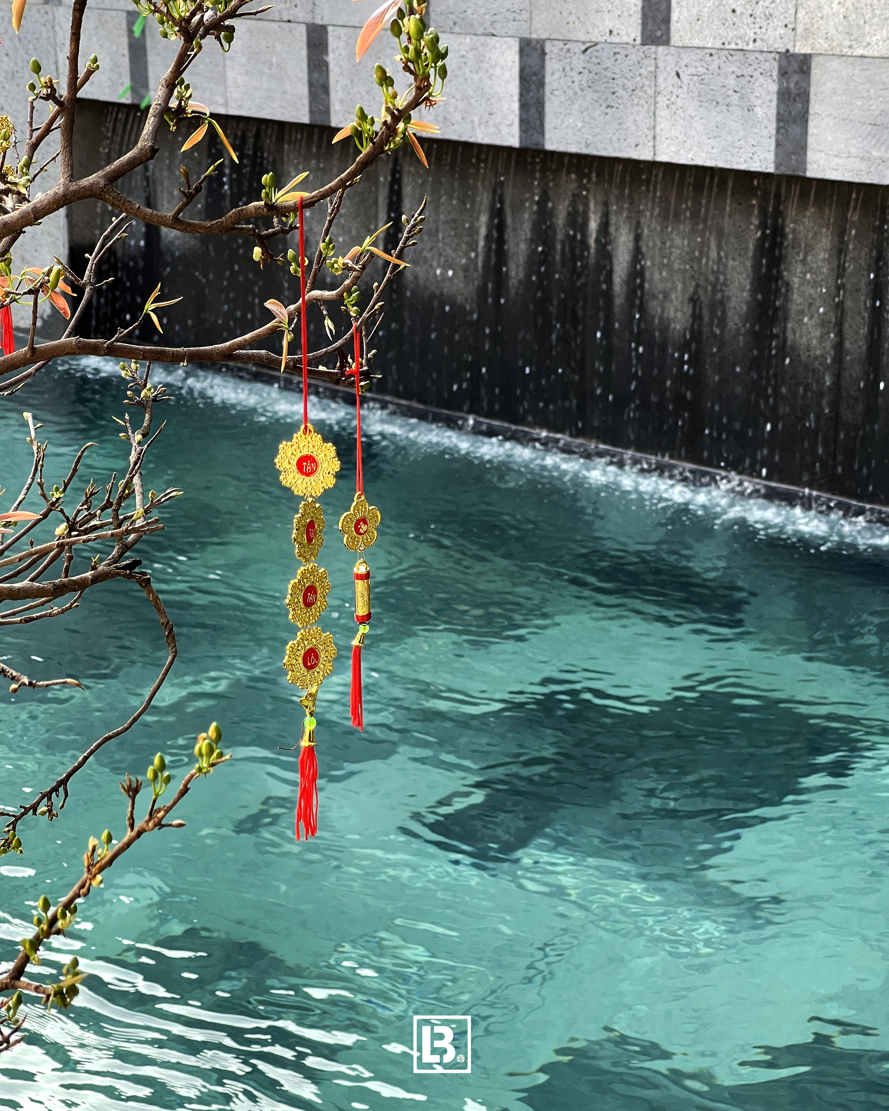 Thiết kế Biệt Thự tại Bà Rịa - Vũng Tàu TH - Villa _BRVT 1674752112 1