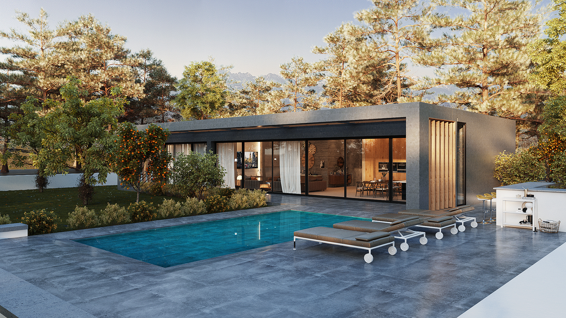 BIỆT THỰ HIỆN ĐẠI - SÂN VƯỜN & HỒ BƠI0