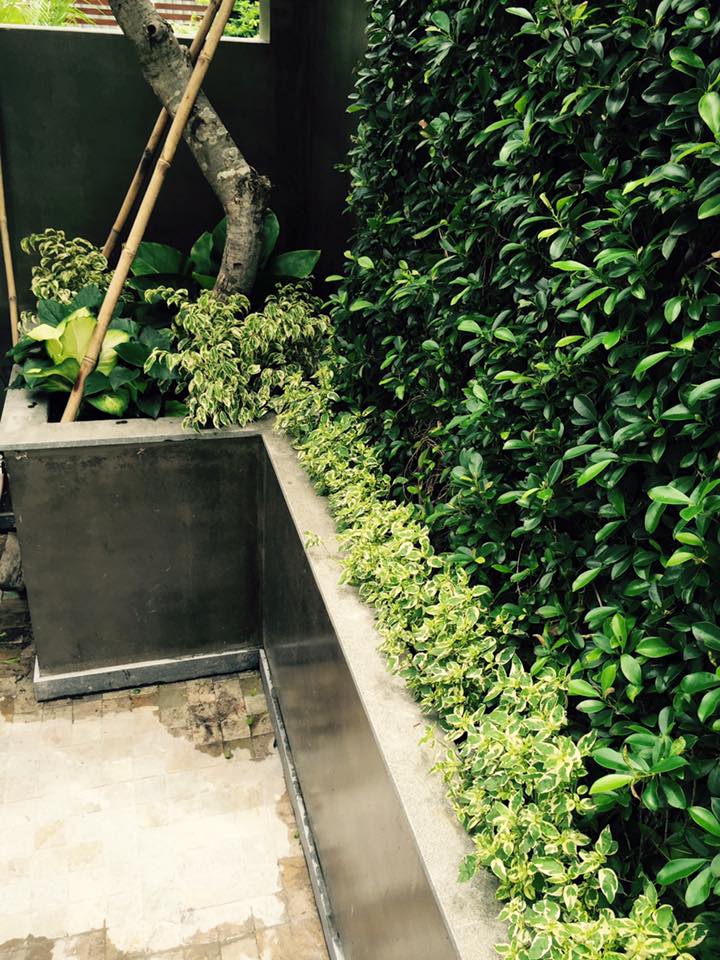 thiết kế Biệt Thự tại Hồ Chí Minh Biệt thự Quận 7 2 1537501899