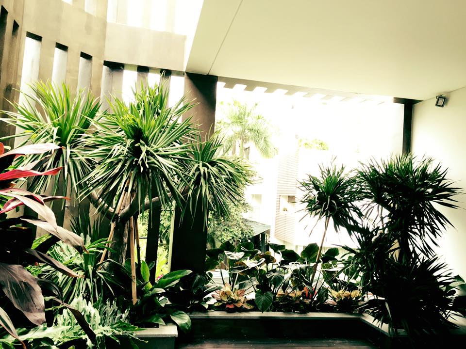 thiết kế Biệt Thự tại Hồ Chí Minh Biệt thự Quận 7 5 1537501898