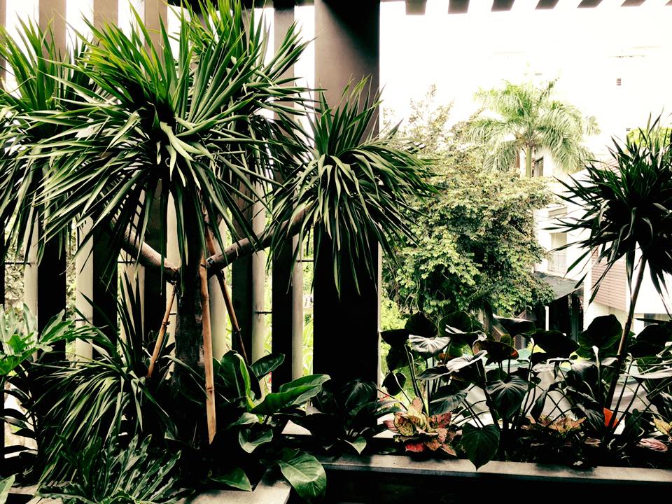 thiết kế Biệt Thự tại Hồ Chí Minh Biệt thự Quận 7 7 1537501898